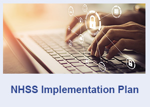 NHSS Implementation Plan