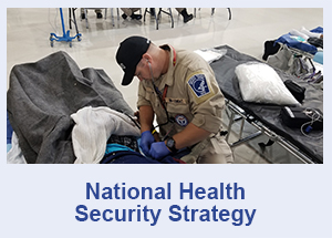 National Health Security Strategy