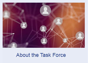 About the Task Force