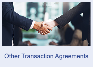 Other Transaction Agreements