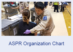 ASPR Organization Chart